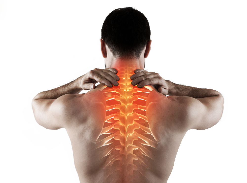 What Are Common Types of Back Pain? How To Support Your Back