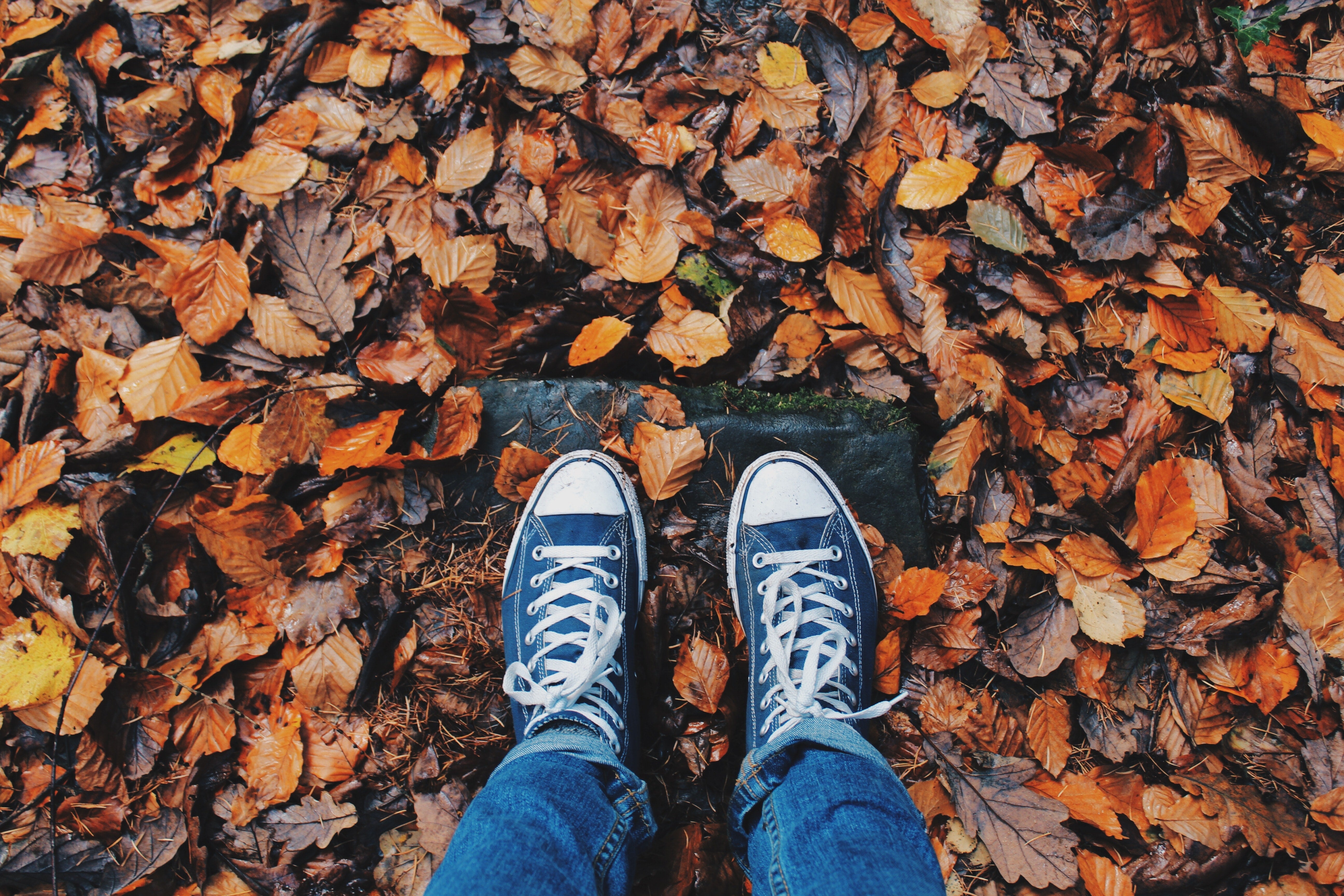 6 Fun and Healthy Fall Activities You'll Love